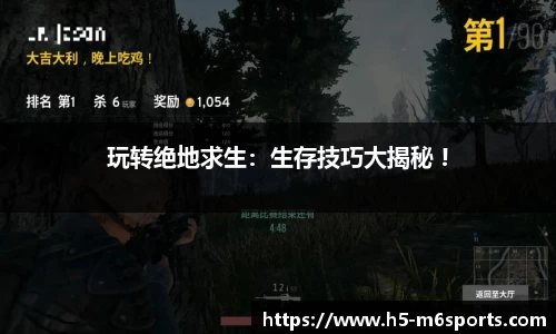 米乐m6